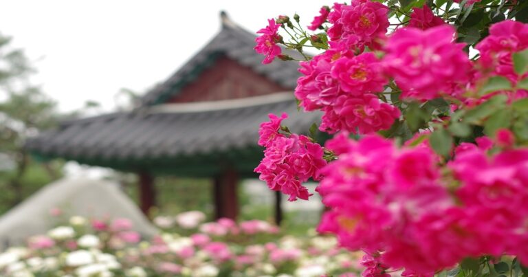 꽃 이름 검색 카메라 어플 2025